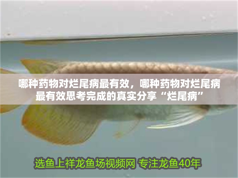 哪種藥物對爛尾病最有效，哪種藥物對爛尾病最有效思考完成的真實分享“爛尾病”
