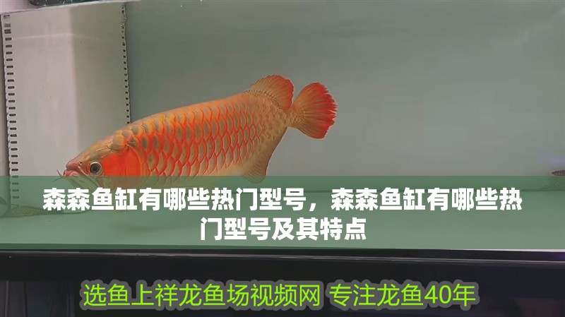 森森魚缸有哪些熱門型號(hào)，森森魚缸有哪些熱門型號(hào)及其特點(diǎn)
