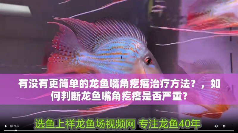 有沒有更簡單的龍魚嘴角疙瘩治療方法？，如何判斷龍魚嘴角疙瘩是否嚴重？