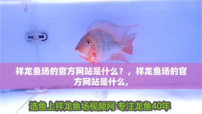 祥龍魚場的官方網站是什么？，祥龍魚場的官方網站是什么,