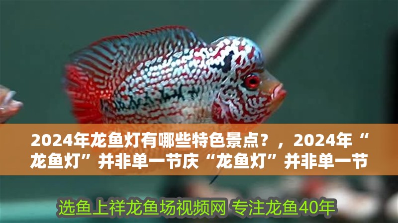 2024年龍魚燈有哪些特色景點？，2024年“龍魚燈”并非單一節慶“龍魚燈”并非單一節慶