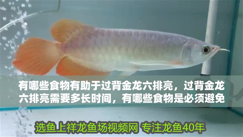 有哪些食物有助于過背金龍六排亮，過背金龍六排亮需要多長時間，有哪些食物是必須避免的
