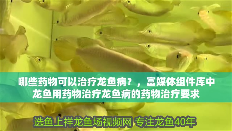 哪些藥物可以治療龍魚病？，富媒體組件庫中龍魚用藥物治療龍魚病的藥物治療要求