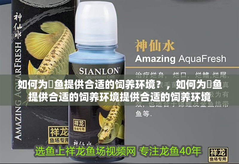 如何為魟魚提供合適的飼養(yǎng)環(huán)境？，如何為魟魚提供合適的飼養(yǎng)環(huán)境提供合適的飼養(yǎng)環(huán)境
