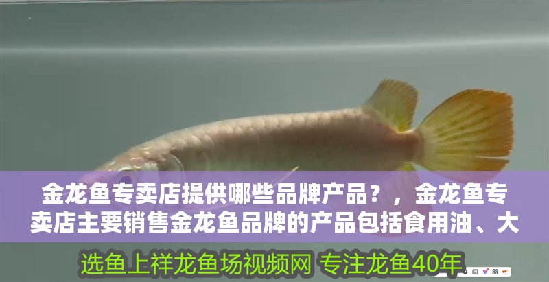 金龍魚專賣店提供哪些品牌產品？，金龍魚專賣店主要銷售金龍魚品牌的產品包括食用油、大米、面粉等
