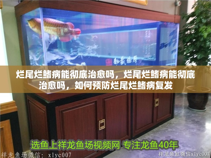 爛尾爛鰭病能徹底治愈嗎，爛尾爛鰭病能徹底治愈嗎，如何預(yù)防爛尾爛鰭病復(fù)發(fā)