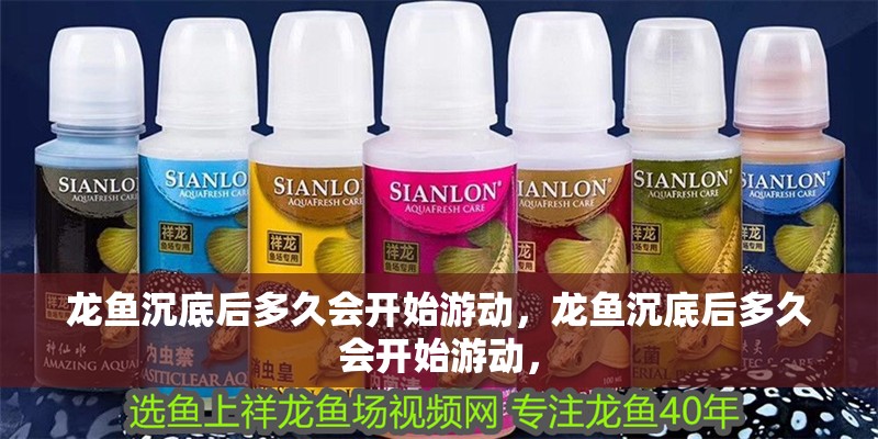 龍魚沉底后多久會開始游動，龍魚沉底后多久會開始游動，