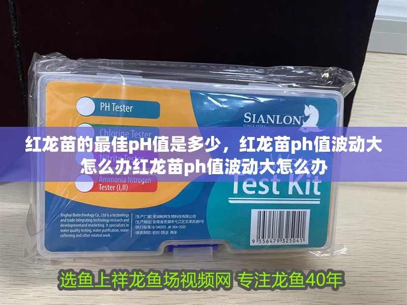 紅龍苗的最佳pH值是多少，紅龍苗ph值波動大怎么辦紅龍苗ph值波動大怎么辦