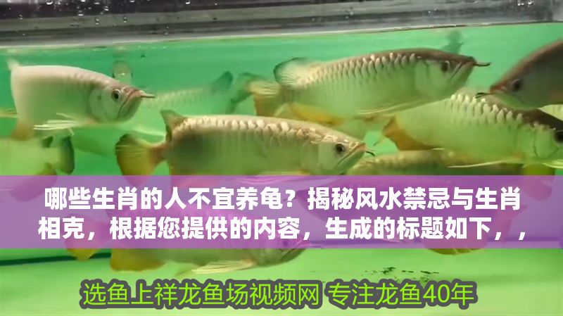 哪些生肖的人不宜養龜?揭秘風水禁忌與生肖相克,根據您提供的內容,生成的標題如下,,生肖養龜風水禁忌,這幾類屬相需避開,小心運勢相克! 龍魚百科 第1張 哪些生肖的人不宜養龜?揭秘風水禁忌與生肖相克,根據您提供的內容,生成的標題如下,,生肖養龜風水禁忌,這幾類屬相需避開,小心運勢相克! 哪些生肖的人不宜養龜?揭秘風水禁忌與生肖相克,根據您提供的內容,生成的標題如下,,生肖養龜風水禁忌,這幾類屬相需避開,小心運勢相克! 龍魚百科 第1張