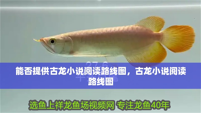 能否提供古龍小說閱讀路線圖，古龍小說閱讀路線圖