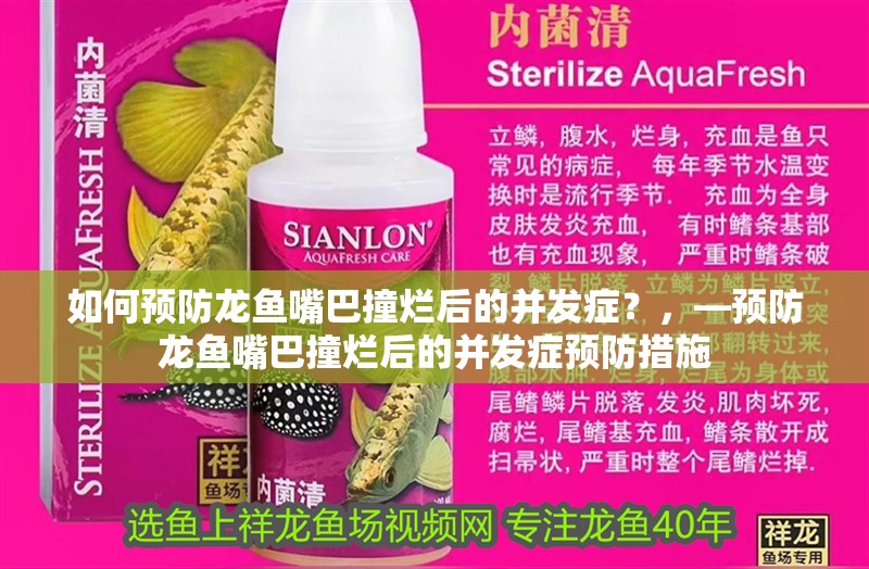 如何預防龍魚嘴巴撞爛后的并發癥？，—預防龍魚嘴巴撞爛后的并發癥預防措施