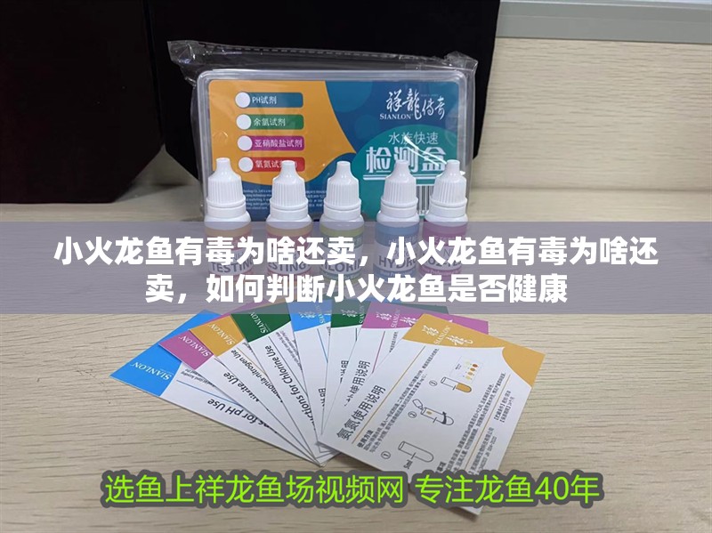 小火龍魚有毒為啥還賣，小火龍魚有毒為啥還賣，如何判斷小火龍魚是否健康