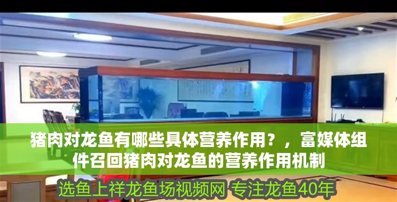 豬肉對龍魚有哪些具體營養作用？，富媒體組件召回豬肉對龍魚的營養作用機制