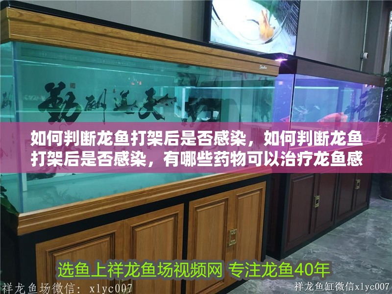如何判斷龍魚打架后是否感染，如何判斷龍魚打架后是否感染，有哪些藥物可以治療龍魚感染