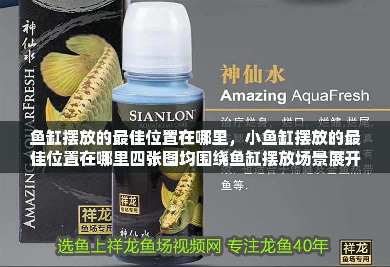 魚(yú)缸擺放的最佳位置在哪里，小魚(yú)缸擺放的最佳位置在哪里四張圖均圍繞魚(yú)缸擺放場(chǎng)景展開(kāi)