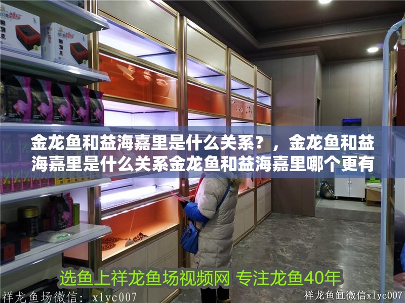 金龍魚和益海嘉里是什么關系？，金龍魚和益海嘉里是什么關系金龍魚和益海嘉里哪個更有影響力
