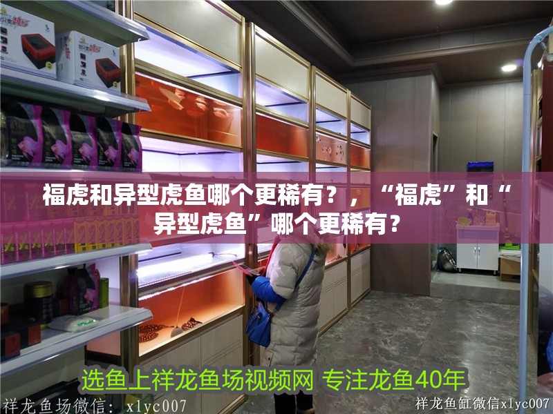 福虎和異型虎魚哪個更稀有？，“福虎”和“異型虎魚”哪個更稀有？