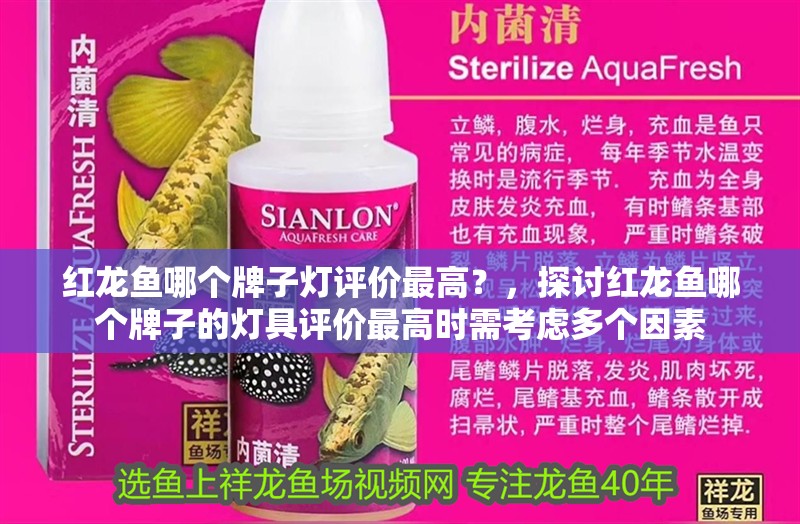 紅龍魚哪個牌子燈評價最高？，探討紅龍魚哪個牌子的燈具評價最高時需考慮多個因素