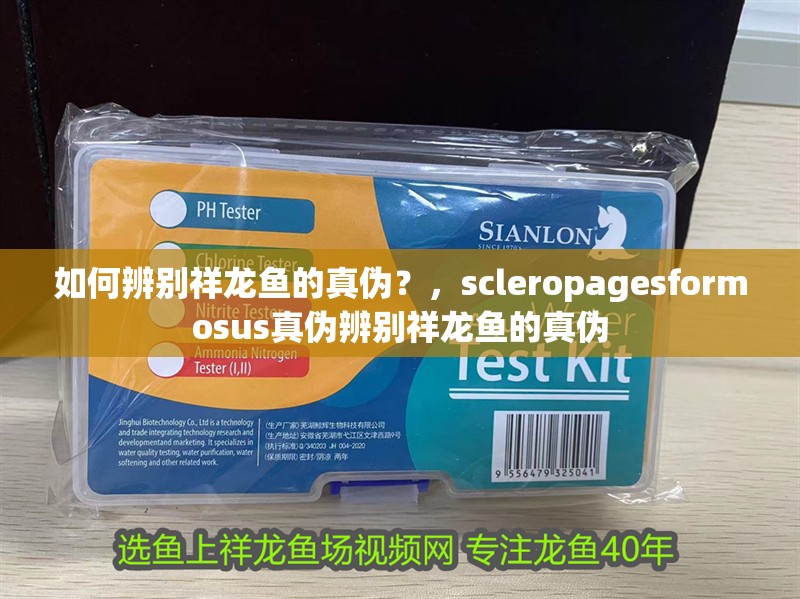 如何辨別祥龍魚的真偽？，scleropagesformosus真偽辨別祥龍魚的真偽