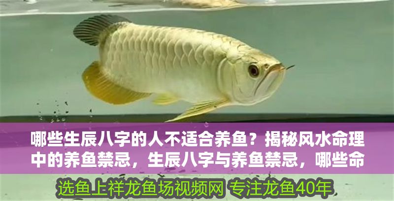 哪些生辰八字的人不適合養(yǎng)魚？揭秘風(fēng)水命理中的養(yǎng)魚禁忌，生辰八字與養(yǎng)魚禁忌，哪些命格不宜養(yǎng)魚？
