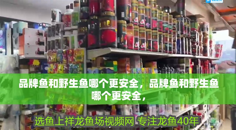 品牌魚和野生魚哪個更安全，品牌魚和野生魚哪個更安全，