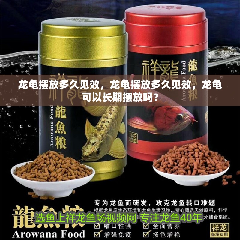 龍龜擺放多久見效，龍龜擺放多久見效，龍龜可以長期擺放嗎？