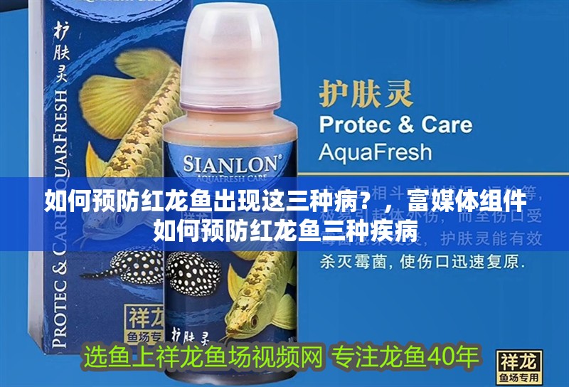 如何預(yù)防紅龍魚出現(xiàn)這三種病？，富媒體組件如何預(yù)防紅龍魚三種疾病