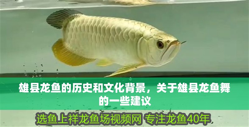 雄縣龍魚的歷史和文化背景，關于雄縣龍魚舞的一些建議