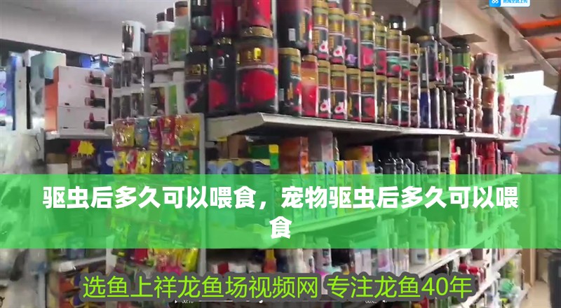 驅蟲后多久可以喂食，寵物驅蟲后多久可以喂食