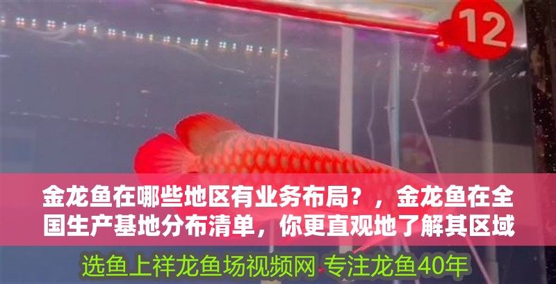金龍魚在哪些地區(qū)有業(yè)務(wù)布局？，金龍魚在全國生產(chǎn)基地分布清單，你更直觀地了解其區(qū)域布局