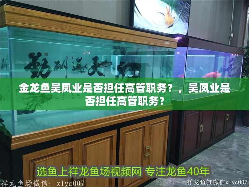 金龍魚吳鳳業是否擔任高管職務？，吳鳳業是否擔任高管職務？