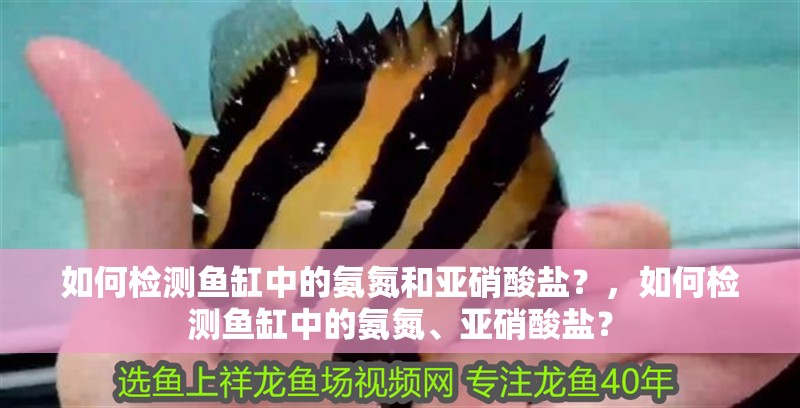 如何檢測魚缸中的氨氮和亞硝酸鹽？，如何檢測魚缸中的氨氮、亞硝酸鹽？