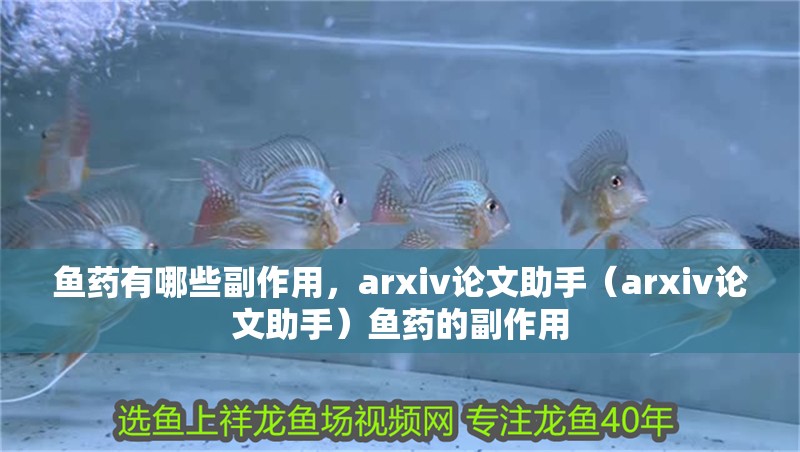 魚藥有哪些副作用，arxiv論文助手（arxiv論文助手）魚藥的副作用