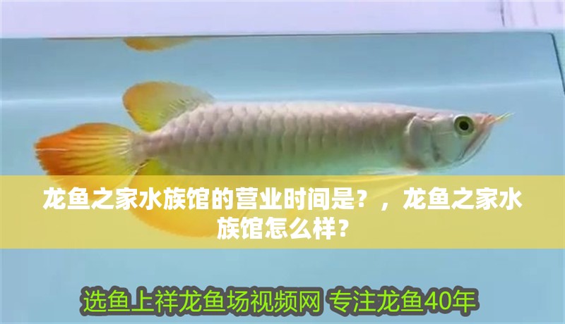 龍魚之家水族館的營業時間是？，龍魚之家水族館怎么樣？