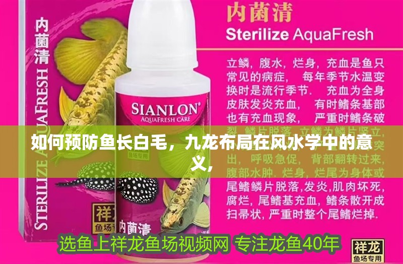如何預(yù)防魚長白毛，九龍布局在風(fēng)水學(xué)中的意義,