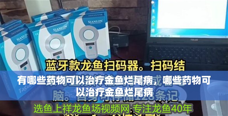 有哪些藥物可以治療金魚爛尾病，哪些藥物可以治療金魚爛尾病