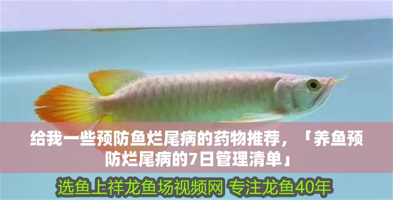 給我一些預防魚爛尾病的藥物推薦，「養魚預防爛尾病的7日管理清單」