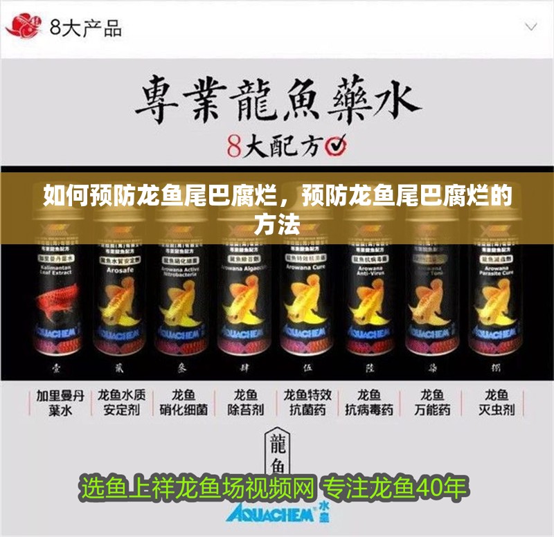 如何預(yù)防龍魚尾巴腐爛，預(yù)防龍魚尾巴腐爛的方法
