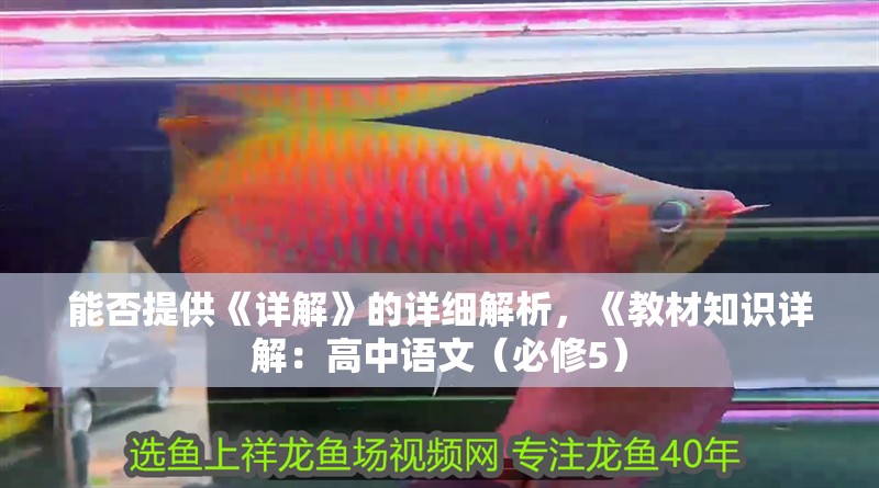能否提供《詳解》的詳細解析，《教材知識詳解：高中語文（必修5）