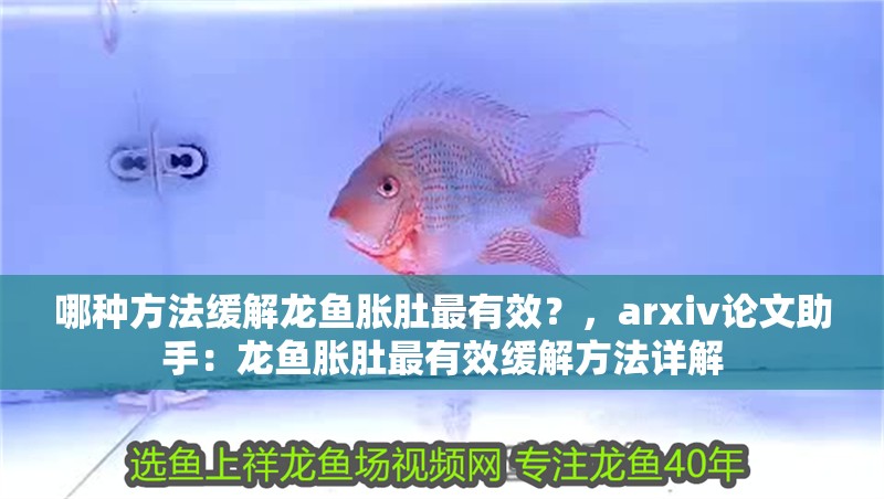 哪種方法緩解龍魚(yú)脹肚最有效？，arxiv論文助手：龍魚(yú)脹肚最有效緩解方法詳解