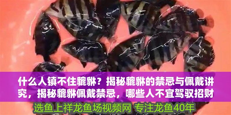 什么人鎮(zhèn)不住貔貅？揭秘貔貅的禁忌與佩戴講究，揭秘貔貅佩戴禁忌，哪些人不宜駕馭招財(cái)神獸？