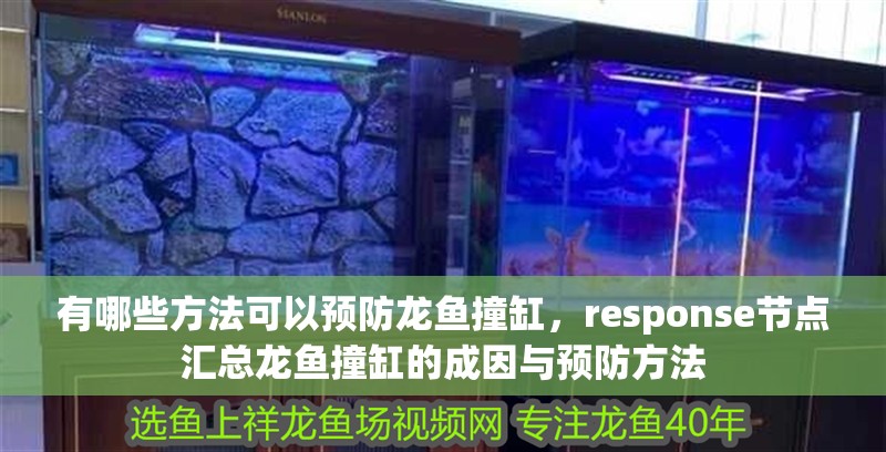 有哪些方法可以預防龍魚撞缸，response節點匯總龍魚撞缸的成因與預防方法