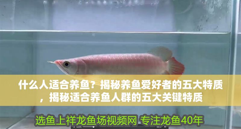 什么人適合養魚？揭秘養魚愛好者的五大特質，揭秘適合養魚人群的五大關鍵特質