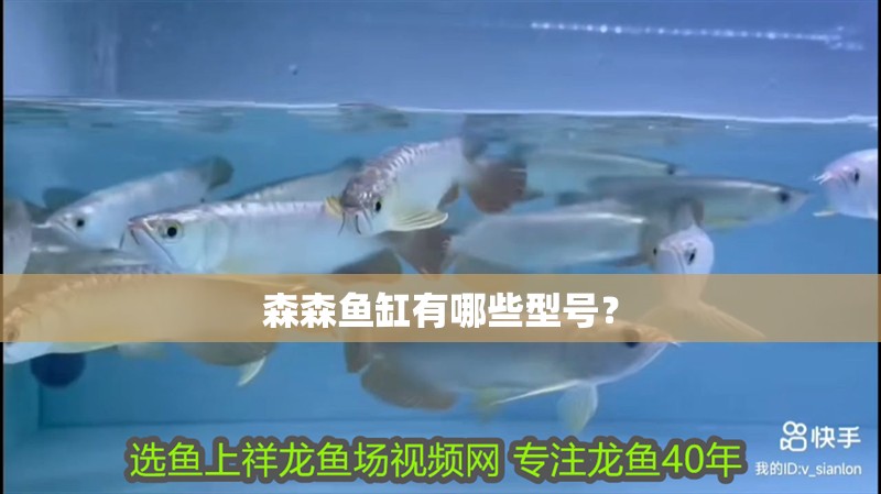 森森魚缸有哪些型號？