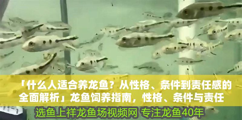 「什么人適合養(yǎng)龍魚？從性格、條件到責任感的全面解析」龍魚飼養(yǎng)指南，性格、條件與責任感全解析 「什么人適合養(yǎng)龍魚？從性格、條件到責任感的全面解析」龍魚飼養(yǎng)指南，性格、條件與責任感全解析 龍魚百科 第1張