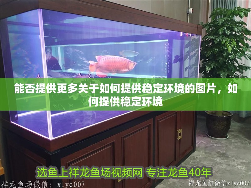 能否提供更多關于如何提供穩定環境的圖片，如何提供穩定環境
