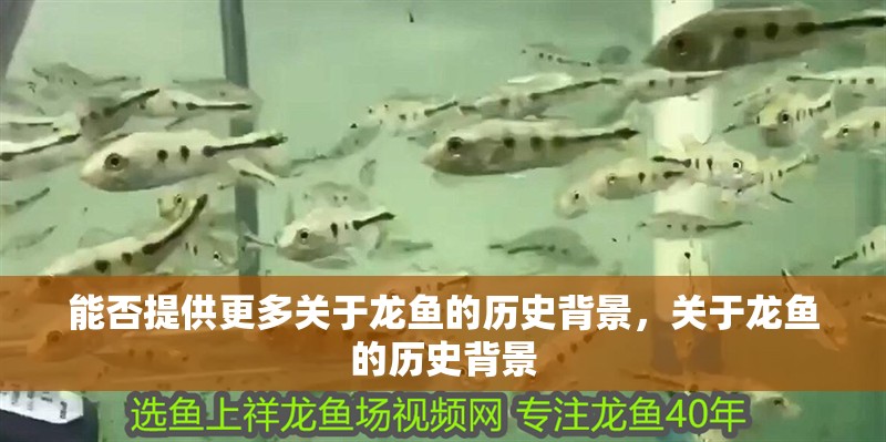 能否提供更多關(guān)于龍魚的歷史背景，關(guān)于龍魚的歷史背景