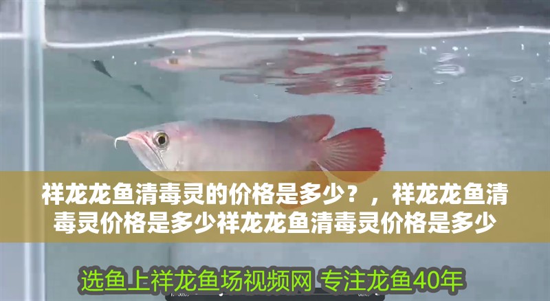祥龍龍魚清毒靈的價格是多少？，祥龍龍魚清毒靈價格是多少祥龍龍魚清毒靈價格是多少