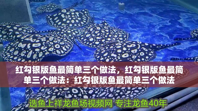 紅勾銀版魚最簡單三個做法，紅勾銀版魚最簡單三個做法：紅勾銀版魚最簡單三個做法
