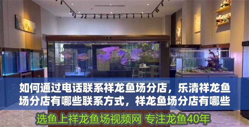 如何通過電話聯系祥龍魚場分店，樂清祥龍魚場分店有哪些聯系方式，祥龍魚場分店有哪些聯系方式